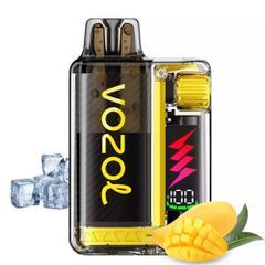 Vozol Vista Plug 20mg 2ml Kit + 10ml e liquid Mango Ice