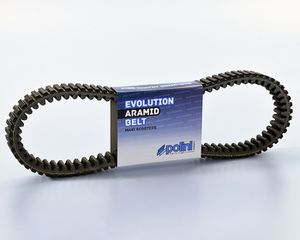 IMANTAΣ POLINI-RACING-ΓΙΑ SCOOTER-250/300-PIAGGIO-GILERA-VESPA-APRILIA-DERBI-MALAGUTI-PEUGEOT-ROYAL ALLOU