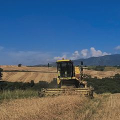 Αλωνιστική Μηχανή New Holland 1969 New holland M140 clayson