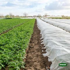 Αντιπαγετικό Ύφασμα 4x250m GRASHER-thumb-3