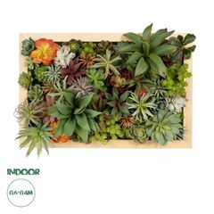 GloboStar® Artificial Garden VARIOUS PLANT 20642 Τεχνητό Διακοσμητικό Φυλλωσιάς σε Ξύλινο Πάνελ  - Κάθετος Κήπος Μιξ Μ60 x Π60 x Υ20cm