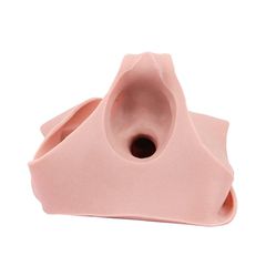 Panty-Style Strap-On with Realistic Dildo