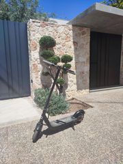 Electric Scooters EcoBike 2024 Egoboo Go 100 S