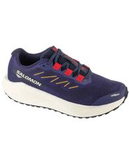 Salomon Aero Blaze 3 Grvl L47915400