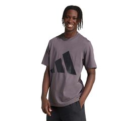 adidas Sportswear Men's Big Logo Single Jersey T-Shirt Γκρι Σκούρο JE8936 (adidas Sportswear)