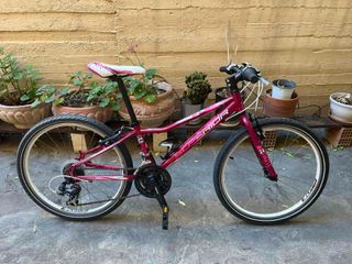 Πόλης Superior 2018 PAINT 24''