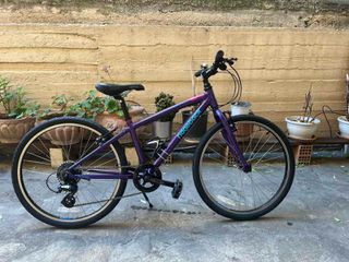 Πόλης Ridgeback 2019 DIMENSION 24''