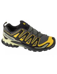Salomon XA Pro 3D v9 GTX L47980400