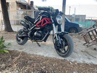 Daytona Hobby 125 2021