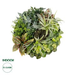 GloboStar® Artificial Garden VARIOUS PLANTS ROUND WALL DISC 20691 Τεχνητό Διακοσμητικό Στρογγυλό Πάνελ Φυλλωσιάς - Κάθετος Κήπος Μιξ Μ60 x Π60 x Υ20cm