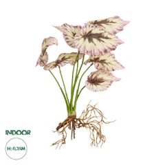 GloboStar® Artificial Garden BEGONIA LEAVES ROOTED 21489 Τεχνητό Διακοσμητικό Φυτό Πολύχρωμη Βιγόνια Μ25 x Π14 x Υ35cm