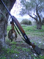 Καραμπίνα Βeretta