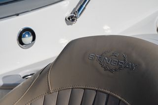 Stingray 2015 250LR-thumb-29