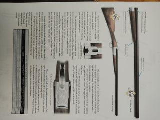Beretta Silver Hawk 470 (με 2 κοντάκια)-thumb-25