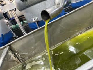 Ελαιόλαδο Βιολογικό