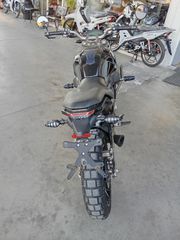 Daytona G155 2022-thumb-1