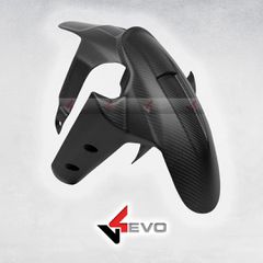 Front Fender - Multistrada V4