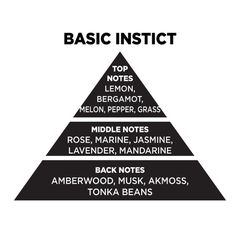 Αρωματικό Χώρου Σε Μαύρο Μπουκάλι Με Μαύρα Sticks "Basic Instict" 100ml Themagio 77328
