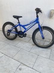 All - Mountain Capriolo 2020