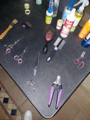 ΕΠΑΓΓΕΛΜΑΤΙΚΑ ΨΑΛΙΔΙΑ & ΧΤΕΝΕΣ ΒΟΥΡΤΣΕΣ ΚΑΛΛΩΠΙΣΜΟΥ GROOMING  ΚΟΜΜΩΤΗΡΙΟ ΣΚΥΛΩΝ