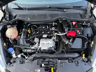 Ford Fiesta 2018 VIGNALE-thumb-41