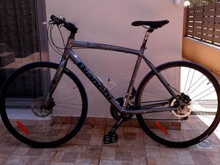 Fitness Bianchi 2017 Camaleonte
