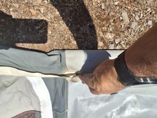 Τροχόσπιτο 2000-thumb-23