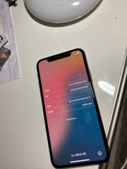 iPhone XS Max  256