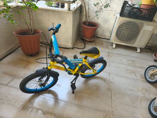 Παιδικά Orient 2022 Tiger