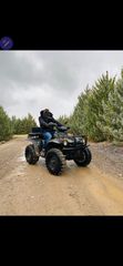 Linhai ATV 300 2006