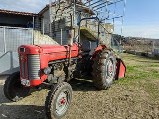 Forestry Vehicle Agco - Massey Ferguson 1964 MF 65