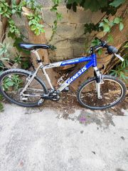 All - Mountain Genesis 2010