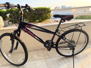 All - Mountain Alpina 2021 Alpha