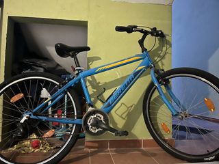 Fitness Beretta 2022 TRX 100