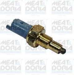Meat & Doria Διακόπτης, Φώτα Όπισθεν - 36010