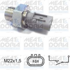 Meat & Doria Διακόπτης, Φώτα Όπισθεν - 36072