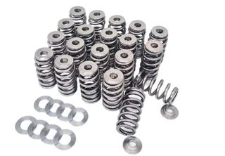 Audi RS3 Daza Beehive Spring Titanium Retainer and Seat Kit