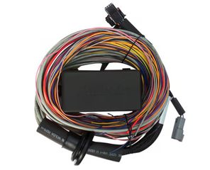 Elite 750 Premium Universal Wire-in Harness 2.5m (8')