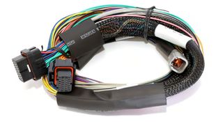 Elite 1500 - 2.5m (8 ft) Basic Uni Wire-in Harness Only