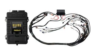 Elite 2500 + GM GEN III LS1 and LS6 (DBW Retrofit Ready) Terminated Harness Kit Injector Connector: Bosch EV1 (as per factory)