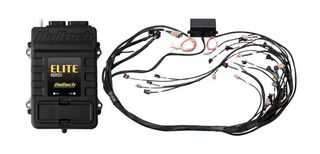 Elite 2500 + GM GEN IV LSx (LS2/LS3 etc) DBW Ready Terminated Harness Kit Injector Connector: Bosch EV1