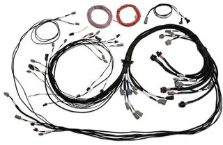 Universal V8 Terminated Engine Harness for Nexus R5 VCU
