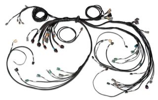 Nexus R5 LSx DBW Terminated Harness - DBW ready Injector Connector: EV6