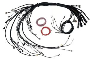 Nexus R5 LSx Non DBW Terminated Harness Injector Connector: EV1