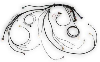 Nexus Rebel LS Terminated Harness for Nexus Rebel LS ECU