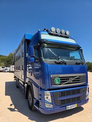 Ζωάδικο Volvo 2014 FH 500 2 παταρο!-thumb-2