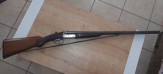 Sentetien robust