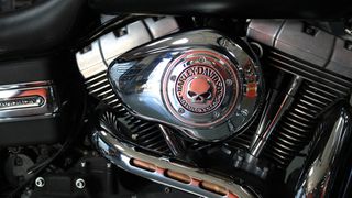 Harley Davidson DYNA FAT BOB 2009 Willie G™ Skull Collection-thumb-2