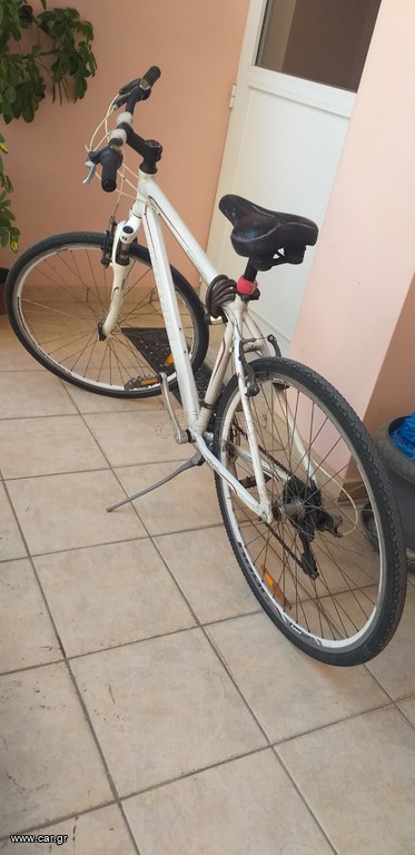 Trekking Drag 2021