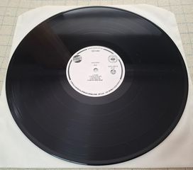 Alice Cooper  – Trash  LP-thumb-2